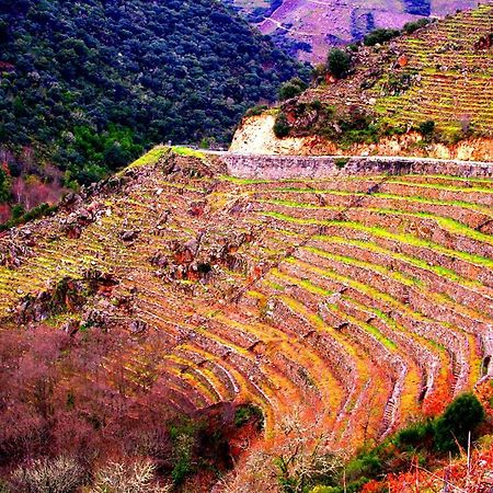Castelodobispo - Ourense Sobrado del Obispo Exteriér fotografie