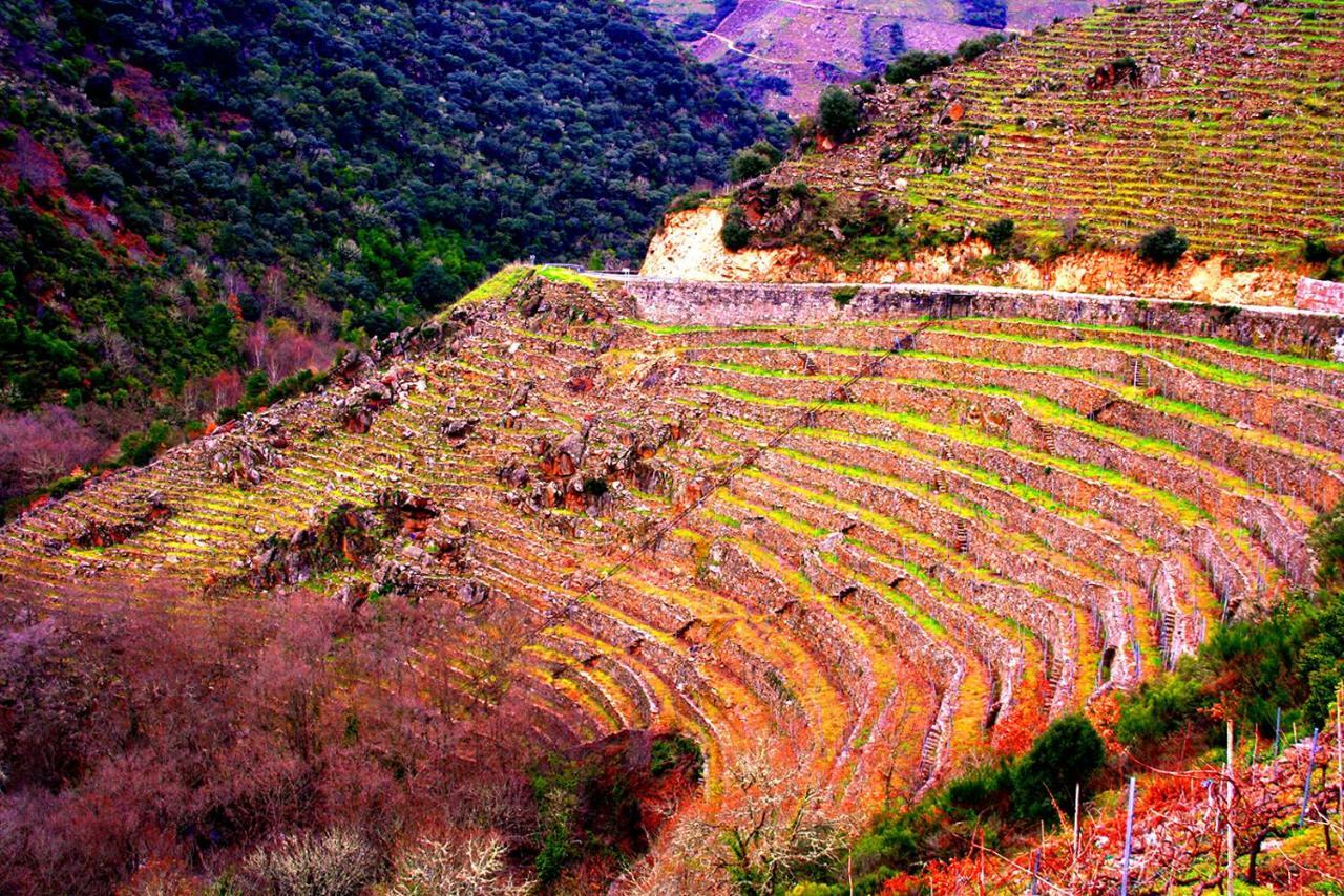 Castelodobispo - Ourense Sobrado del Obispo Exteriér fotografie